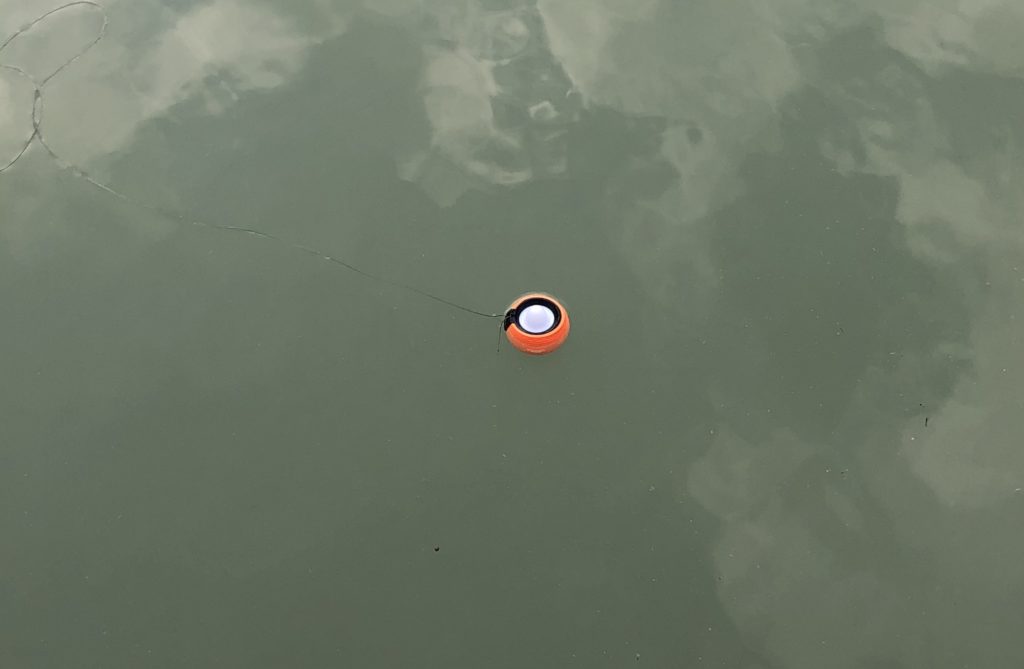スマホで使える魚群探知機 Sona.r Ball(ソナーボール) 使ってみた 